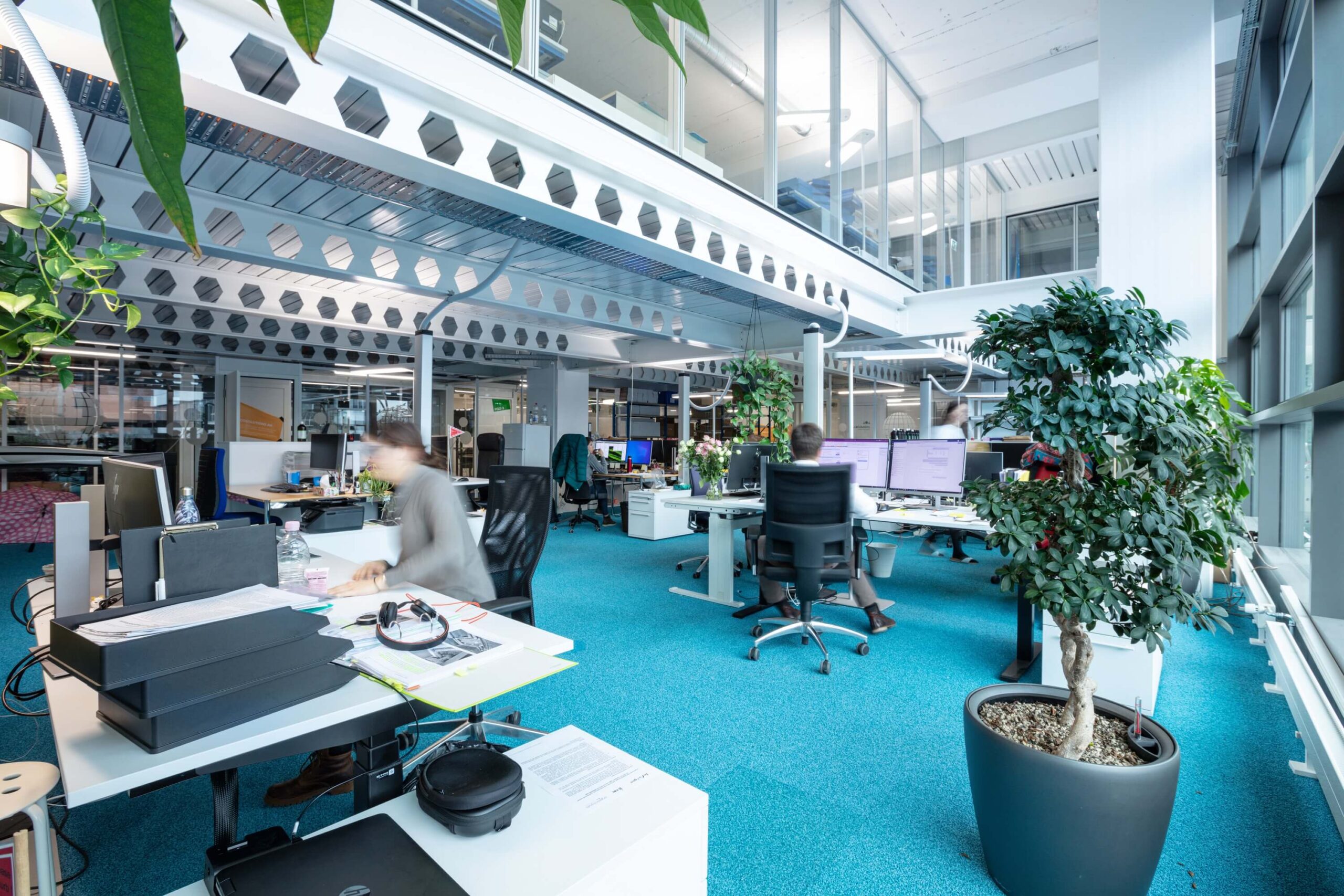 Ein Foto von den Büroflächen auf den Campus Lerchenfeld, die an Start-ups und junge Unternehmen vermietet werden können. Sehr gross, hell und bequem für eine gute Zusammenarbeit.