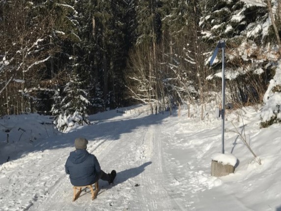 Sensor auf der Rodelbahn